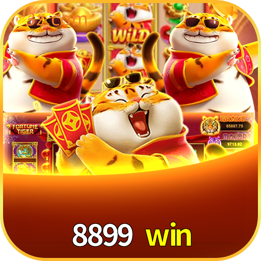 8899 win