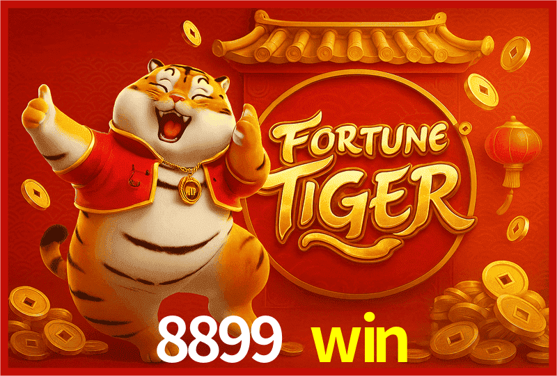 Interface Premium 8899 win